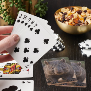 Jeu De Cartes Chubby The Australian Wombat,
