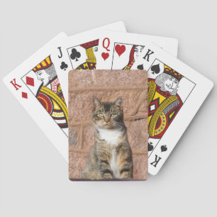 Jeu De Cartes Church Cat