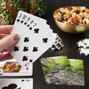 Jeu De Cartes Chute d'eau du ruisseau Shallow