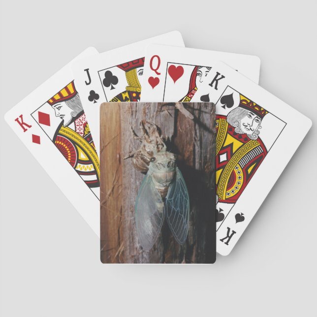 Jeu De Cartes Cicada (dos)