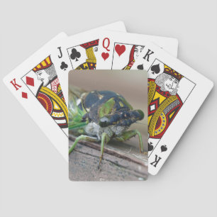 Jeu De Cartes Cicada
