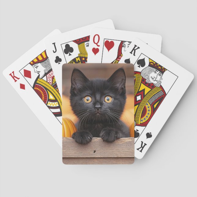 Jeu De Cartes Citrouille Patch Kitten (dos)