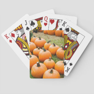 Jeu De Cartes Citrouilles à vendre au marché d'un agriculteur