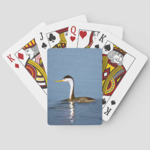 Jeu De Cartes Clark's Grebe Painting - Art original pour les ois