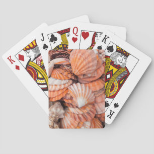 Jeu De Cartes Clés de Floride, Key West, coquillages