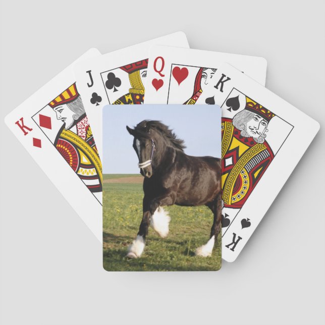 Jeu De Cartes Clydesdale Horse (dos)