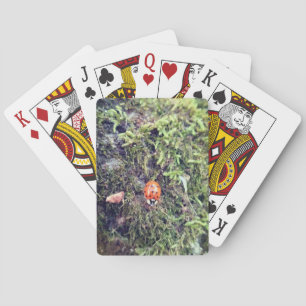 Jeu De Cartes Coccinelle sur photographie de mousse