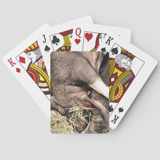 JEU DE CARTES COCHONS ENDORMIS MIGNONS (dos)