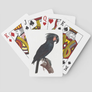 Jeu De Cartes Cockatoo de palme, perroquet de probosciger