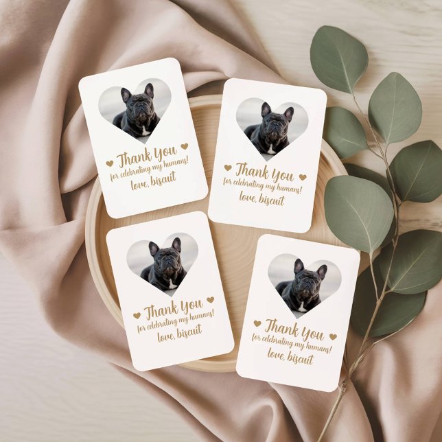 Jeu De Cartes Coeur Photo Chien Mariage Favoriser Jouer Des Cart (Créateur téléchargé)