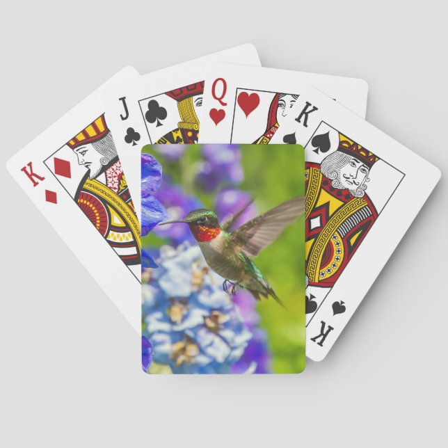 Jeu De Cartes Colibri Et Delphinium (dos)