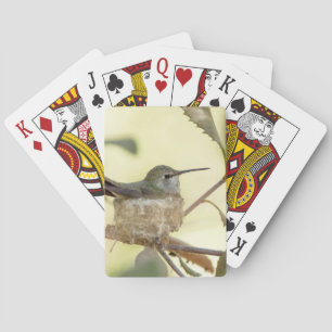 Jeu De Cartes Colibri femelle sur son nid