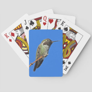 Jeu De Cartes Colibri mignon Ciel bleu clair Photo Petit Oiseau