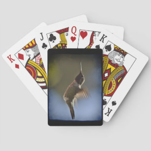 Jeu De Cartes Colibri sur le bord noir du vol