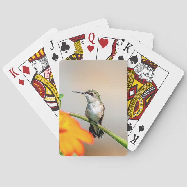 Jeu De Cartes Colibri sur un plante à fleurs (dos)