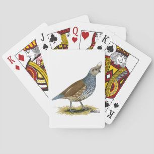 Jeu De Cartes Colin écaillé