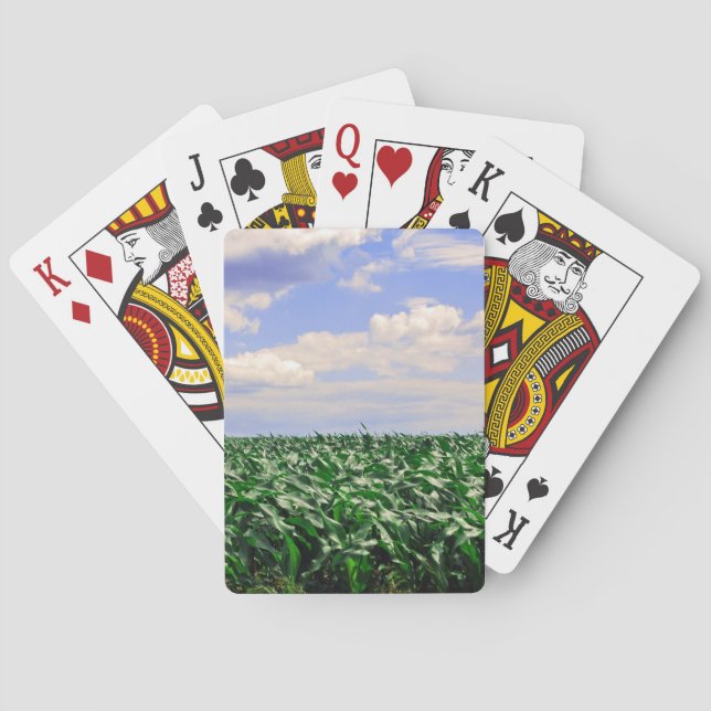 Jeu De Cartes collection "Champ de maïs soufflant dans le vent" (dos)