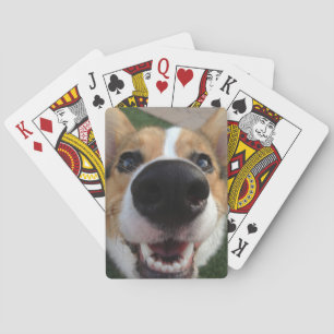 Jeu De Cartes Collection Welsh Corgi Chien Nose