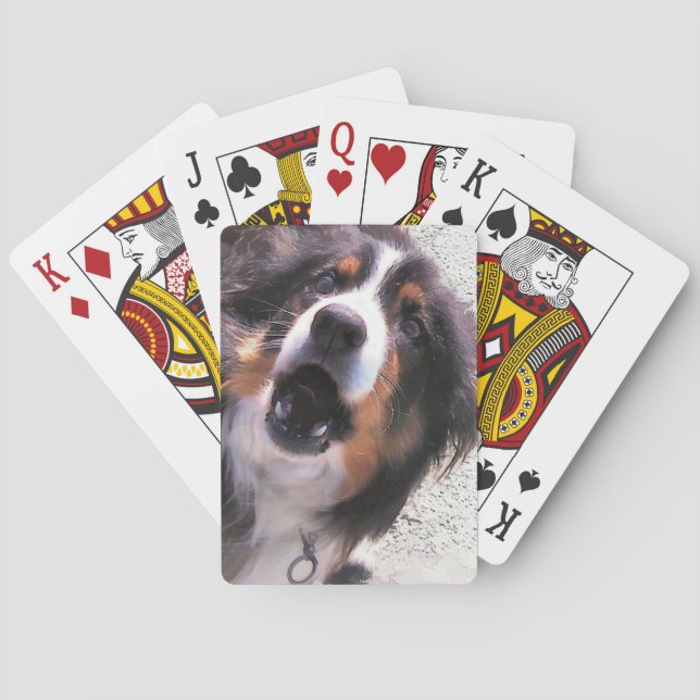 JEU DE CARTES COLLIE FRONTALIÈRE (dos)
