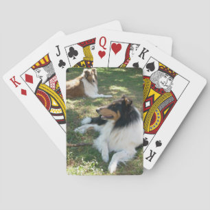 Jeu De Cartes Collies Rough Vélo Lecture Cartes