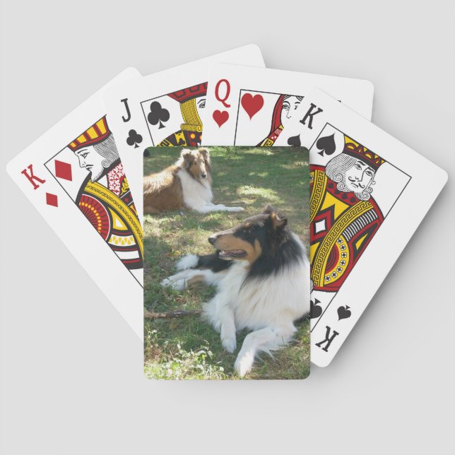 Jeu De Cartes Collies Rough Vélo Lecture Cartes (dos)