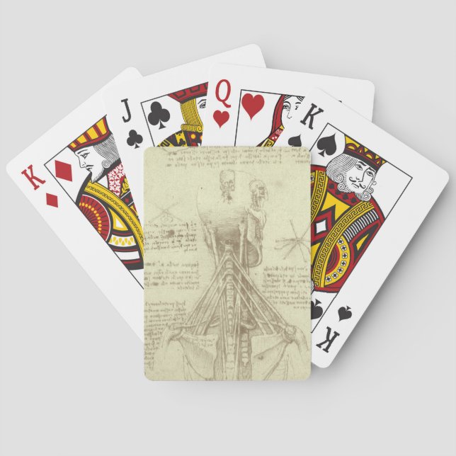Jeu De Cartes Colonne de colonne vertébrale de l'anatomie humain (dos)