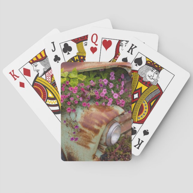 Jeu De Cartes Columbia Falls (dos)