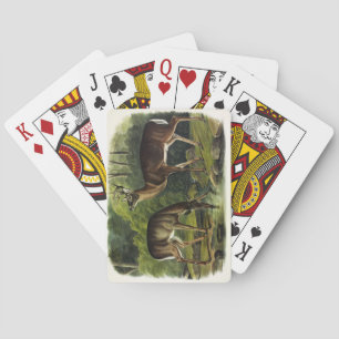 Jeu De Cartes Common Deer