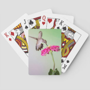 Jeu De Cartes Comté de Jeff Davis, Texas