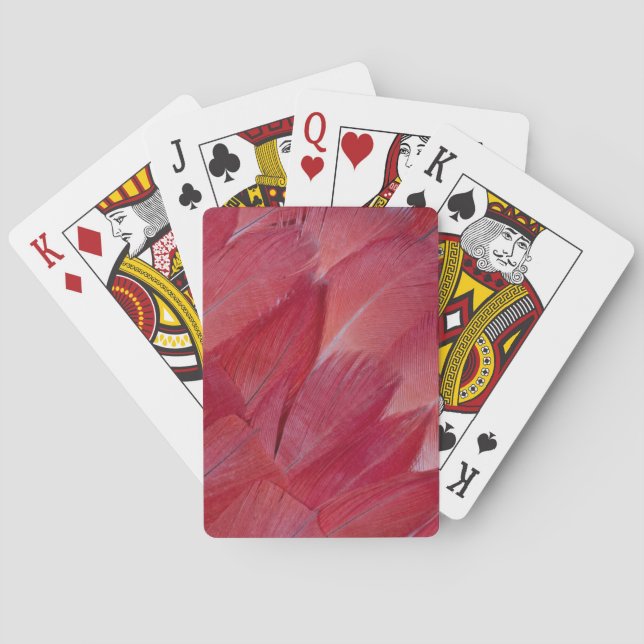 Jeu De Cartes Conception de plume de perroquet gris africain (dos)