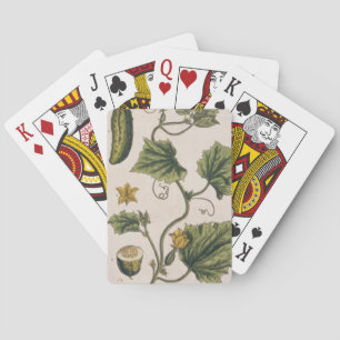 Jeu De Cartes Concombre de jardin, assiette 4 de 'A Curious Herb