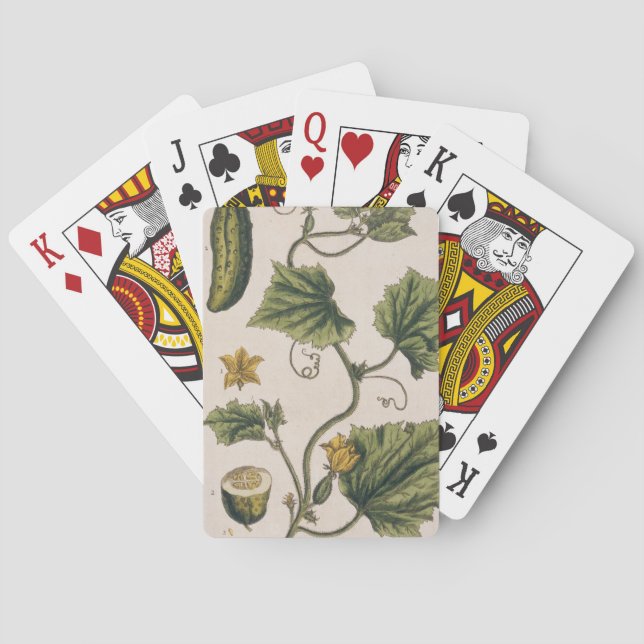 Jeu De Cartes Concombre de jardin, assiette 4 de 'A Curious Herb (dos)