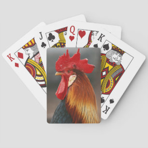 Jeu De Cartes Coq domestique de la ferme