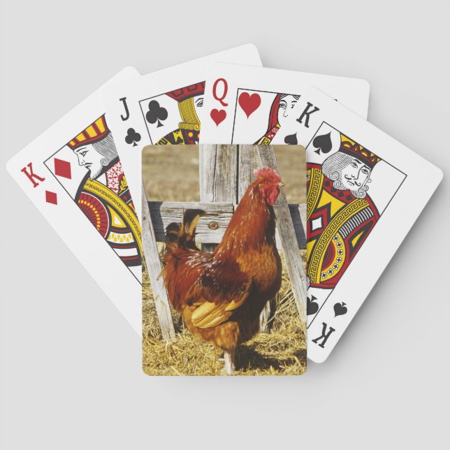Jeu De Cartes Coq Rhode Island Red (dos)