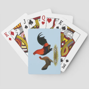 Jeu De Cartes Coqs nains Old English Game : Paire BB Rouge