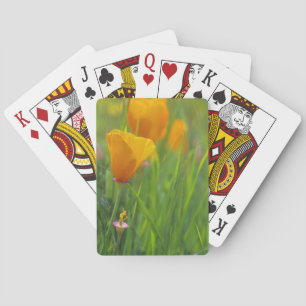 Jeu De Cartes Coquelicots dorés de Californie dans un champ vert