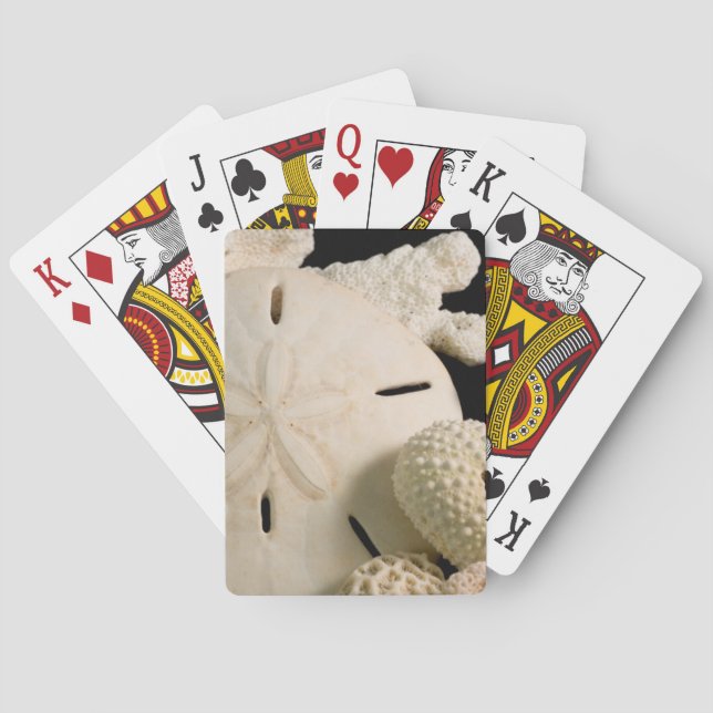 Jeu De Cartes Coquillages Blancs Et Dollar De Sable (dos)