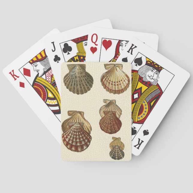 Jeu De Cartes Coquilles antiques crépitées (dos)