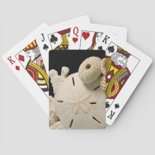 Jeu De Cartes Coquilles blanches et dollar de sable