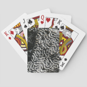 Jeu De Cartes Corail noir et blanc I Abstrait Nature Photo