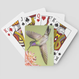 Jeu De Cartes Costa Rica : Un colibri s'envole en fleurs