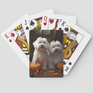Jeu De Cartes Coton De Tulear Chiot Automne Citrouille délice