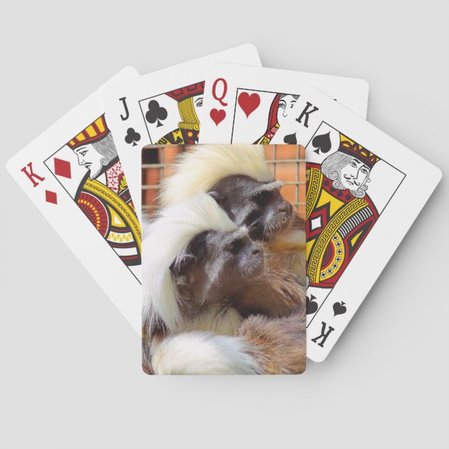 JEU DE CARTES COTON - TOP TAMARIN SINGES (dos)