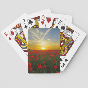 Jeu De Cartes Coucher de soleil rouge
