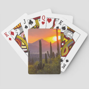 Jeu De Cartes Coucher de soleil sur cactus du désert, Arizona