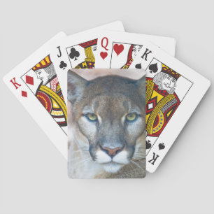 Jeu De Cartes Couguar, lion de montagne, panthère de Floride, Pu