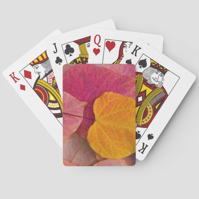 Jeu De Cartes Couleurs d'automne sur feuilles tombées de Forest  (dos)