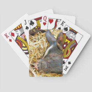 JEU DE CARTES COUPER