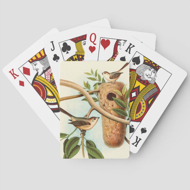 Jeu De Cartes Couple d'oiseaux sur un nid perché sur une branche (dos)