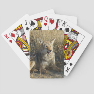 Jeu De Cartes Coyote R18 Allongé